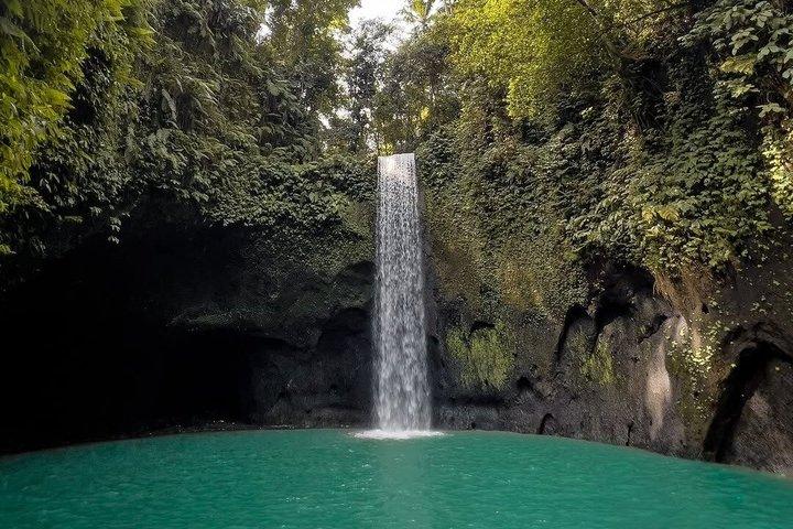 ウブドの秘密の滝、棚田、スイング - プライベートツアー