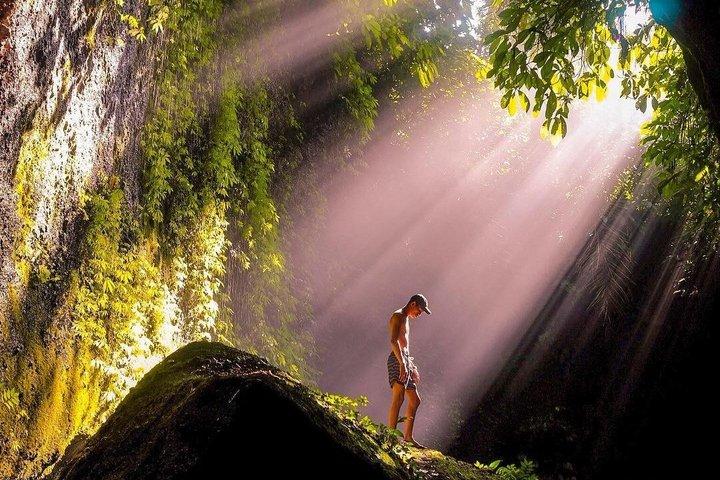 Ubud Hemmelige Vandfald, Risterrasser & Gynge - Privat Tur