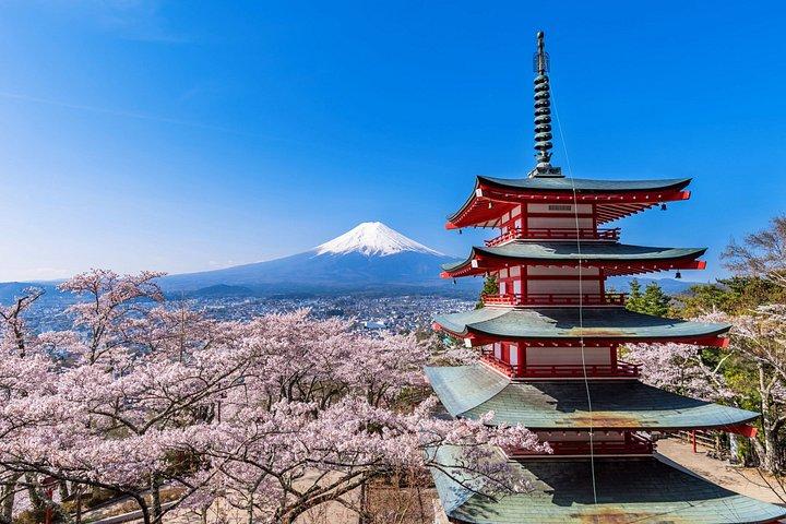 東京発 富士山360°パノラマ＆隠れた名所日帰りツアー