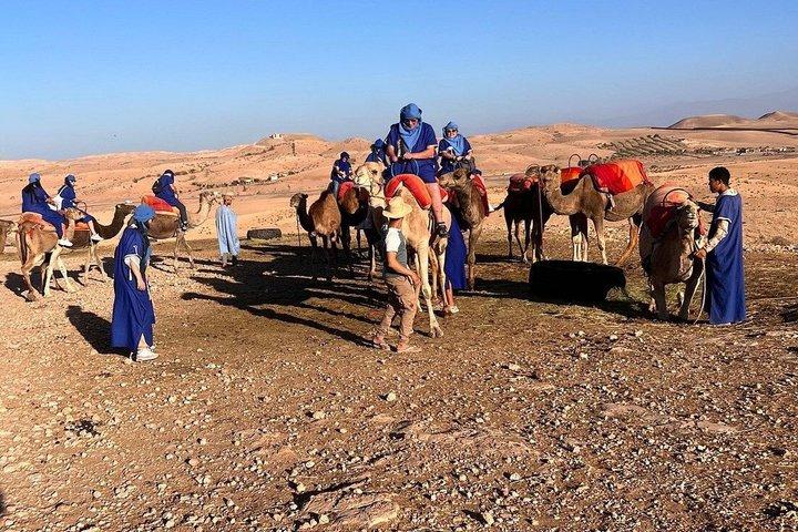 Desert Escape: Buggy Ride, Camel Trek & Dinner Show