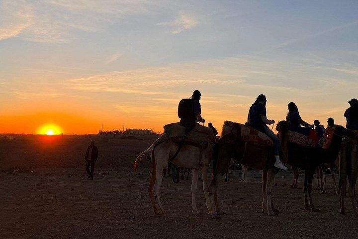 Marrakech Desert Dinner Show mit Quad und Camel Ride