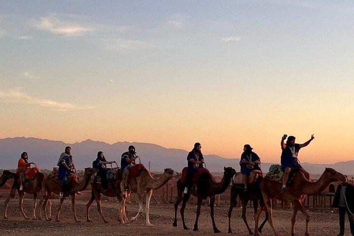 Marrakech Desert Dinner Show mit Quad und Camel Ride