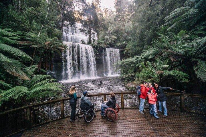Un tour di un giorno a Mt Field e Bonorong Wildlife Sanctuary