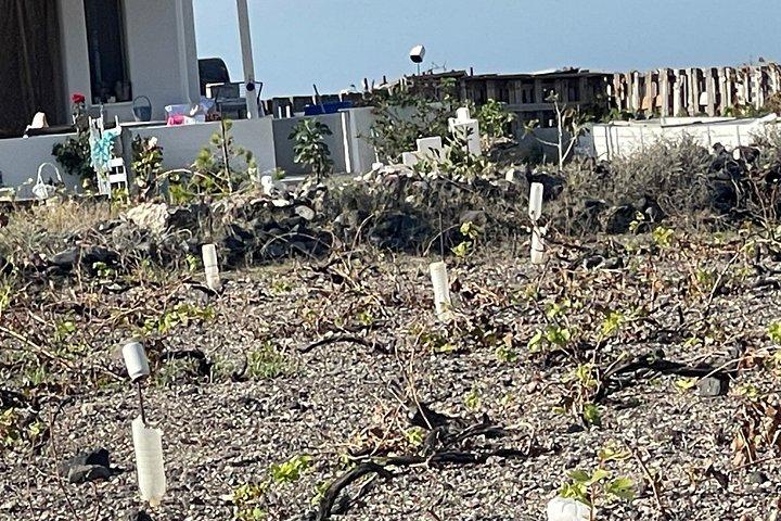 ATVによるオイアと近くの隠れた宝石を発見