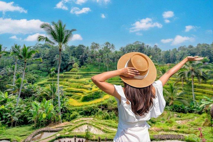 Ubud Private Tour: Rice Terraces, Jungle Swing & Waterfall