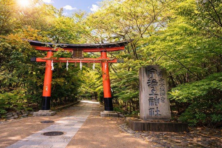 大阪箕面滝を体験,宇治・勝王子・さくらバスツアー