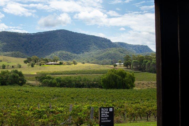 Privé luxe Hunter Valley wijntour vanuit Sydney