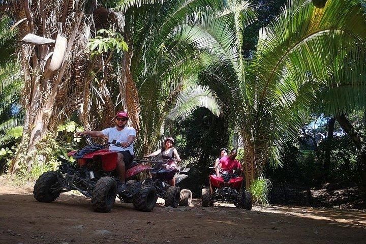 Ultimate Ziplining and ATV Beach Adventure