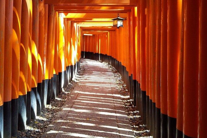 大阪箕面滝を体験,宇治・勝王子・さくらバスツアー