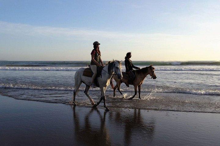 バリ島ケドゥングビーチでサンセットプライベート乗馬