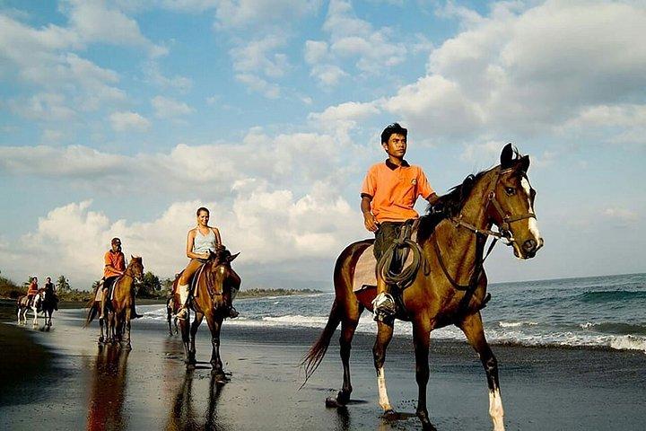 バリ島ケドゥングビーチでサンセットプライベート乗馬