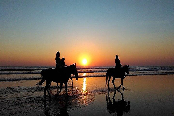 Sunset Private Horseback ridning på Kedungu Beach i Bali