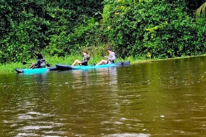 Tour privato in kayak attraverso i canali del Tortuguero