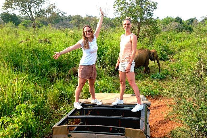 Sigiriya & Minneriya Safari, privé-dagtour met dorpslunch
