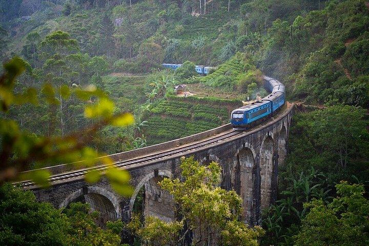 Private Driver in Sri Lanka for Groups
