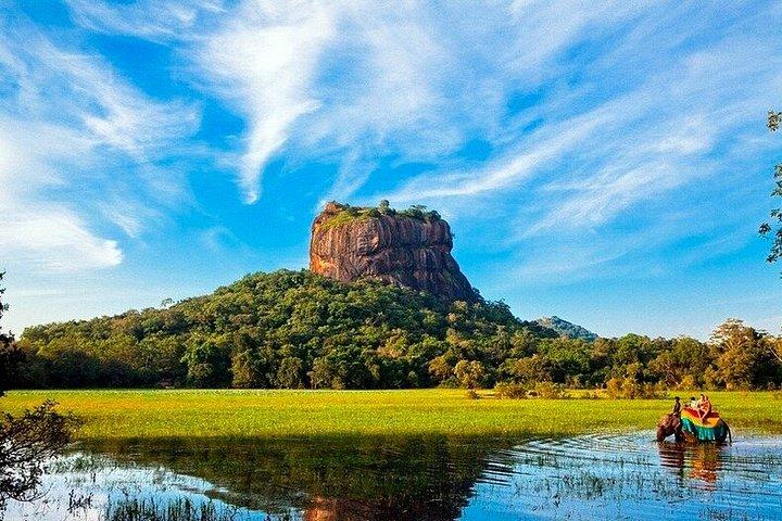 Private Driver in Sri Lanka for Groups