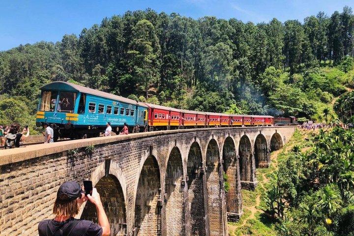 Private Driver in Sri Lanka for Groups