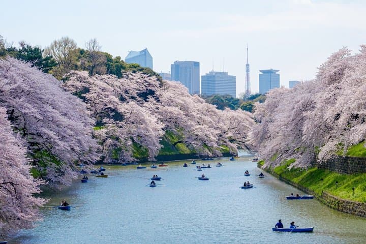 Tokyo War History Tour: Yasukuni Shrine & War Museum