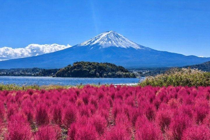 Från Tokyo: Mount Fuji Privat skräddarsydd tur med Engelska Guide