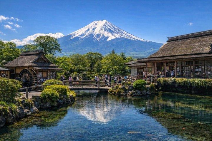 Från Tokyo: Mount Fuji Privat skräddarsydd tur med Engelska Guide