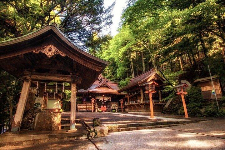 東京発：英語ガイド付き富士山プライベートカスタマイズツアー