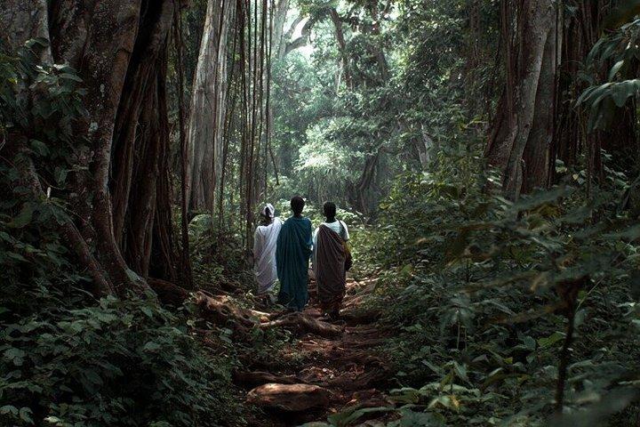 ディアニビーチ：カヤ錦音堂聖なる森ガイドツアー