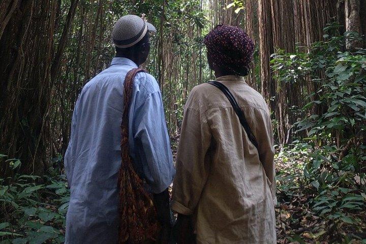 ディアニビーチ：カヤ錦音堂聖なる森ガイドツアー