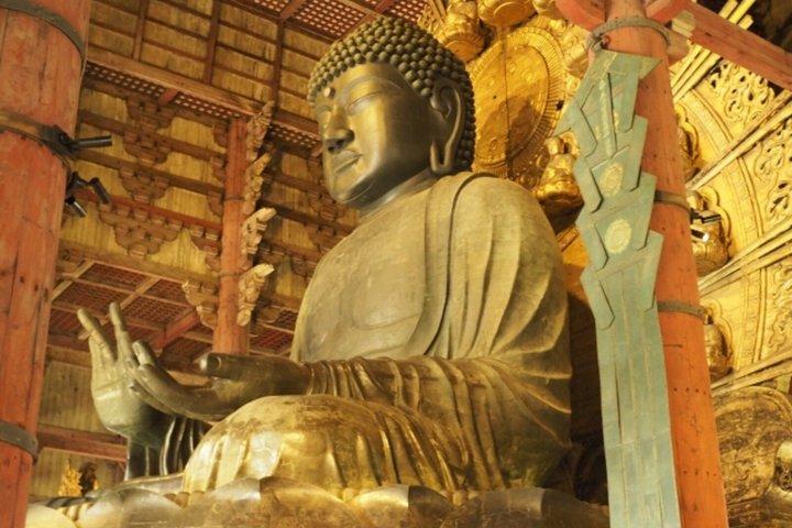 Visite privée sur mesure à Osaka, Nara, Kobe et Kyoto