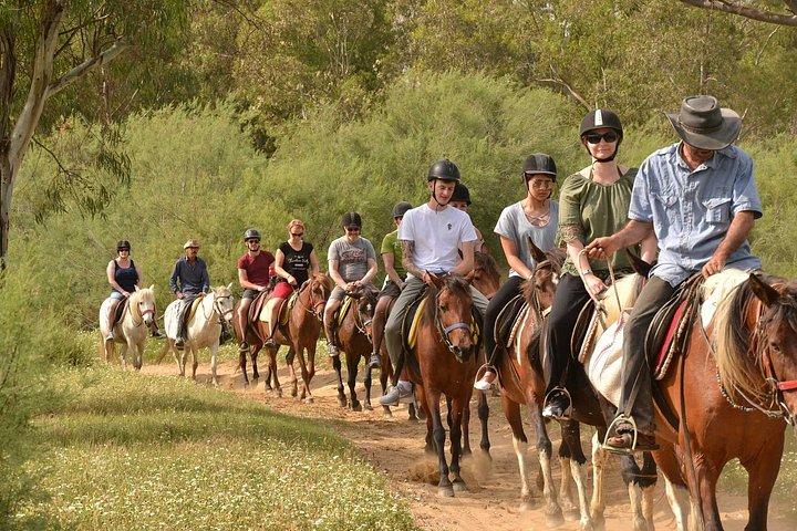 ホテル送迎付きケメル風光明媚な森の乗馬体験