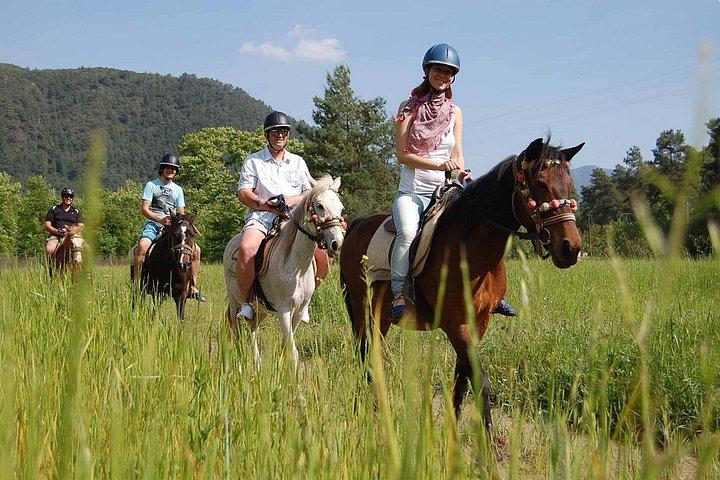 ホテル送迎付きケメル風光明媚な森の乗馬体験