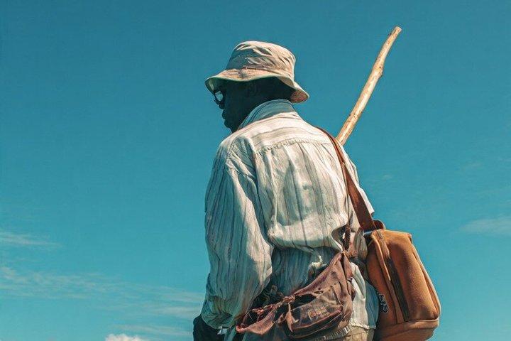 Wasini Dhow and Dolphin Excursion in Diani Beach