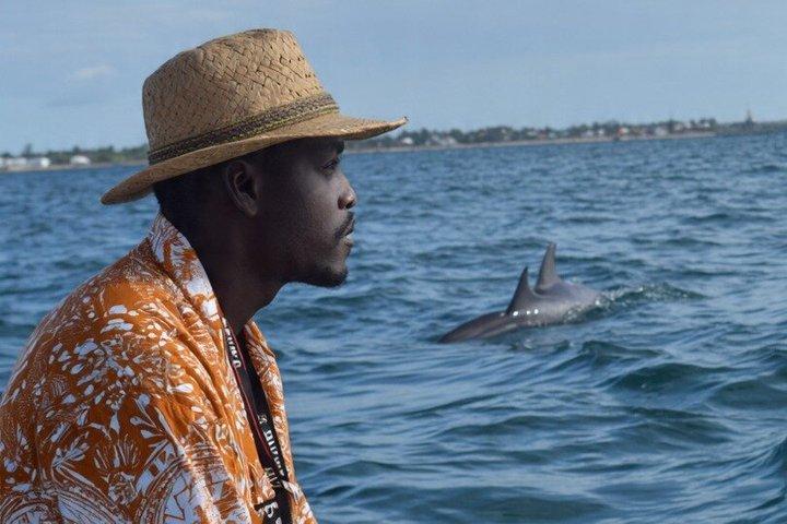 Wasini Dhow and Dolphin Excursion in Diani Beach