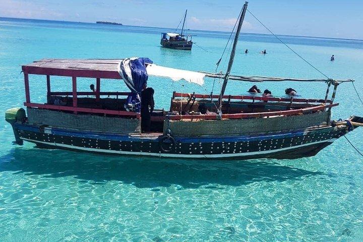 ディアニビーチのワシニ・ドウとイルカ小旅行