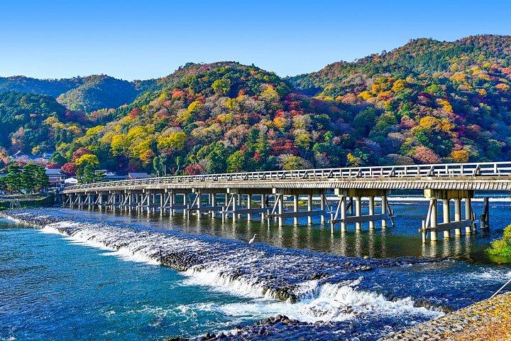 京都1 - 新幹線のぞみ＆自家用車で行く東京発日帰りツアー