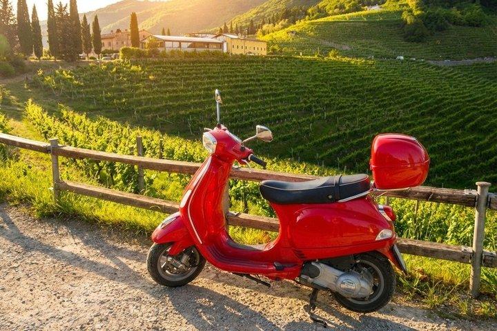 Excursión a Chianti y Toscana Hills con almuerzo y cata de vinos