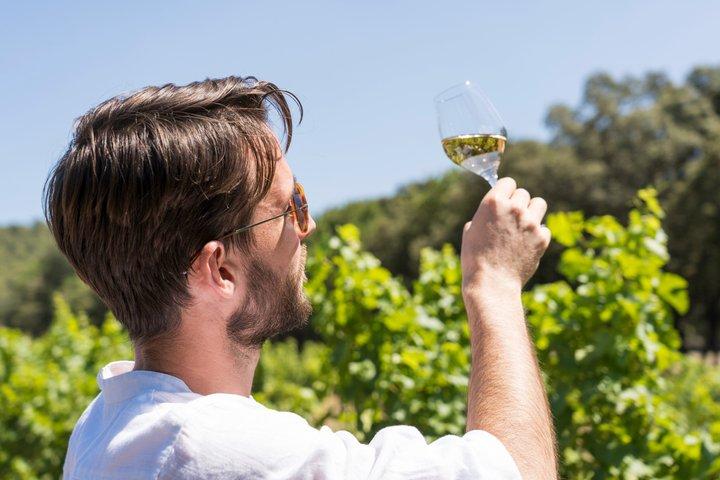 Cotes de Provence desde Aix-en-Provence