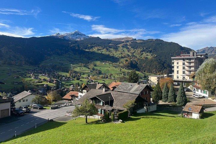 Privé Grindelwald, Lauterbrunnen, Interlaken sightseeing Tour