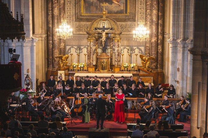 Conciertos en la Iglesia Minoriten - Viena Tickets
