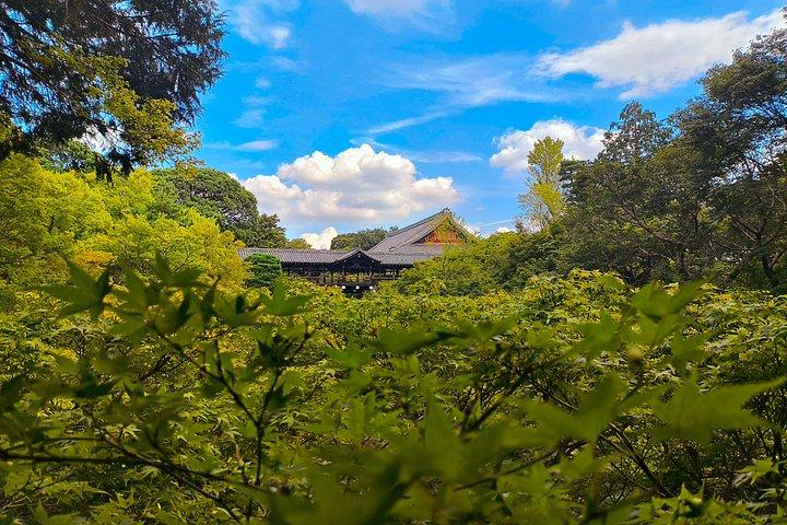 京都の隠れた地元の桜スポットと禅庭園