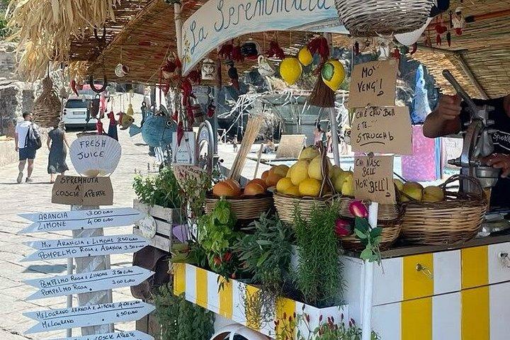 Ischia Escape Exclusive Full Day Experience from Naples