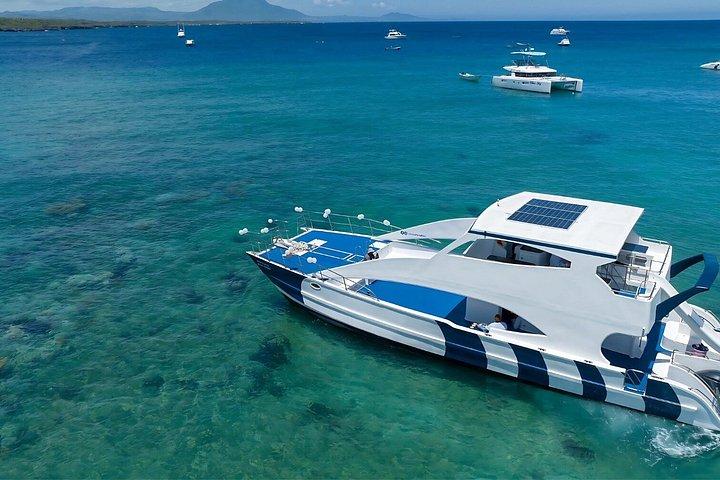 Puerto Plata Private Catamaran Snorkeling, BBQ & Open Bar