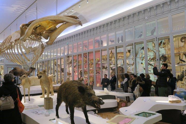 ボルドーシティパス、公共交通機関乗り放題＆20アトラクション