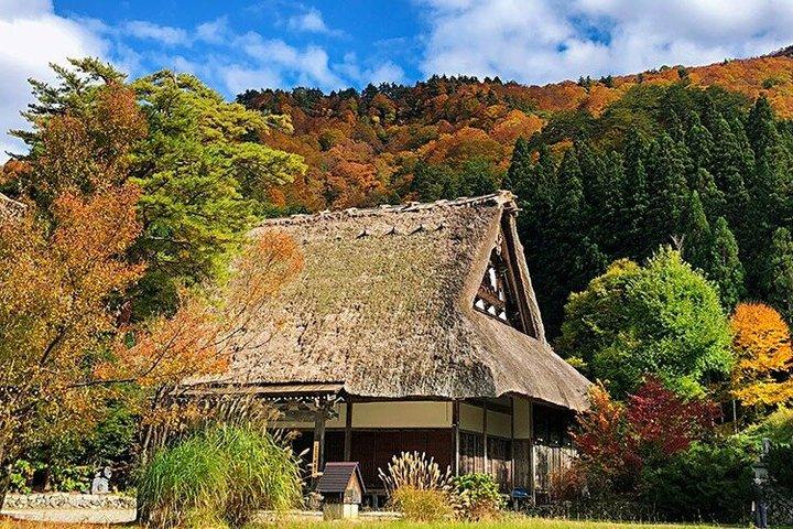 名古屋白川郷と高山日帰りツアー