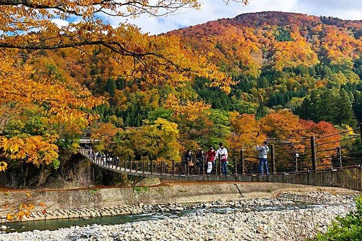 名古屋白川郷と高山日帰りツアー