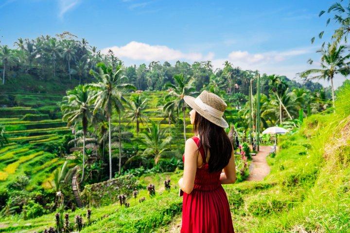 Ultimate Ubud Day Tour: Monkey Forest, Hidden Waterfall e Templo