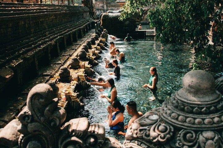 Ultimate Ubud Day Tour: Monkey Forest, Hidden Waterfall e Templo