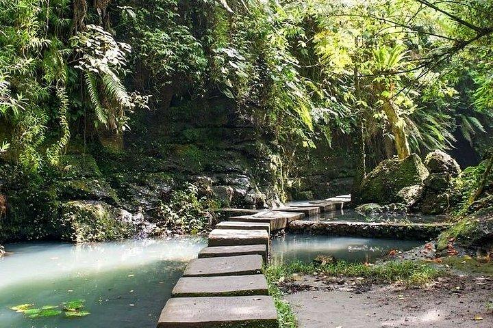 究極のウブド日帰りツアー：モンキーフォレスト、隠れた滝＆寺院