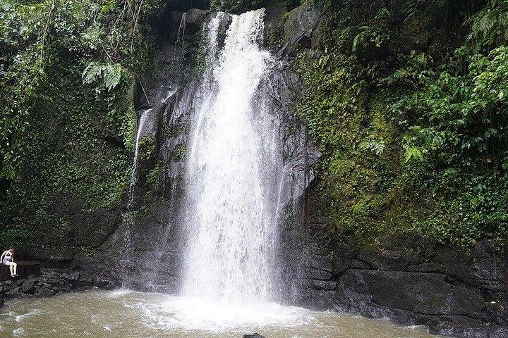 Det bedste ved Ubud: Monkey Forest, Hidden Waterfall & Temple