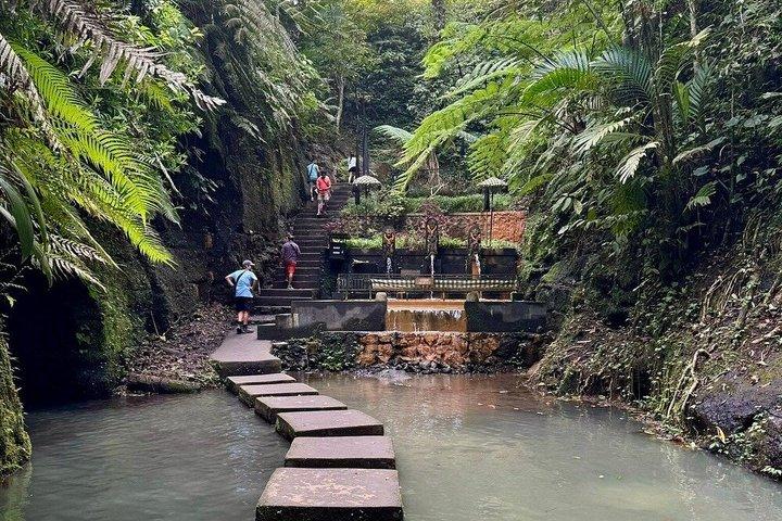 究極のウブド日帰りツアー：モンキーフォレスト、隠れた滝＆寺院