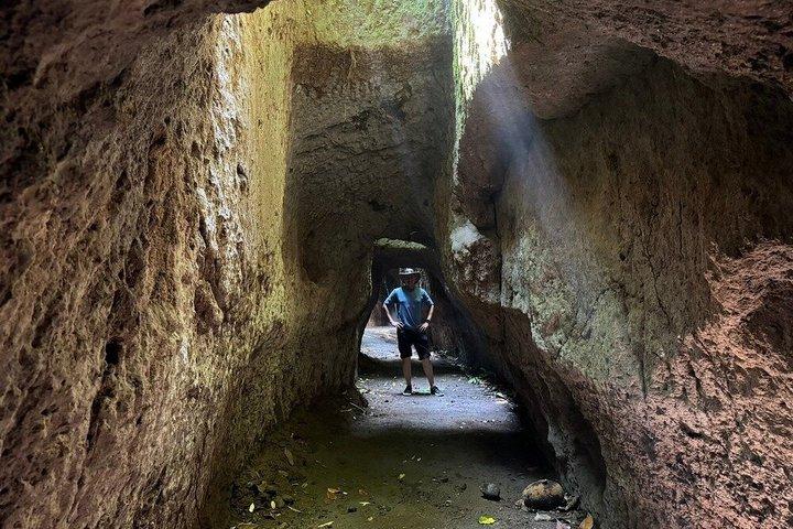 Ultimate Ubud Day Tour: Monkey Forest, Hidden Waterfall e Templo